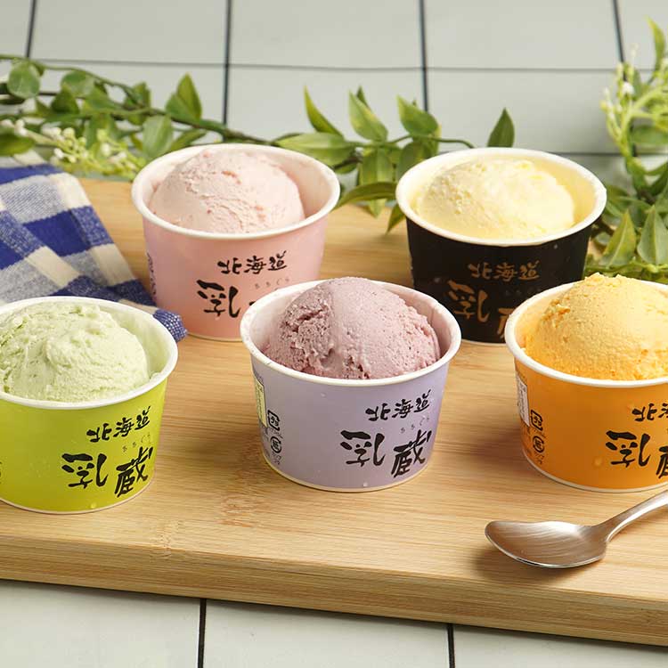 「乳蔵」北海道アイスクリーム５種１２個　１１０１３１