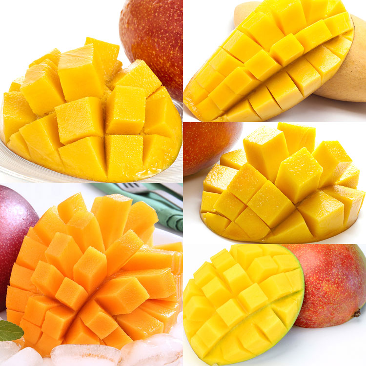 台湾産マンゴー(太陽のタマゴと同品種）アップルマンゴー 【国産】 - 果物