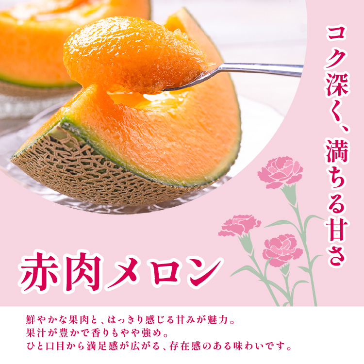 赤肉メロン（2Lサイズ）2玉セット|母の日ギフト・プレゼント特集