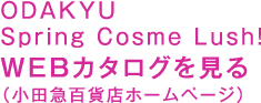 ODAKYU Spring Cosme Lush! WEBカタログを見る（小田急百貨店ホームページ） 