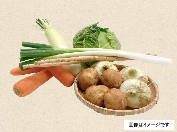 旬のお野菜定期便 ｏｄａｋｙｕ ｆｒｅｓｈ 小田急オンラインショッピング