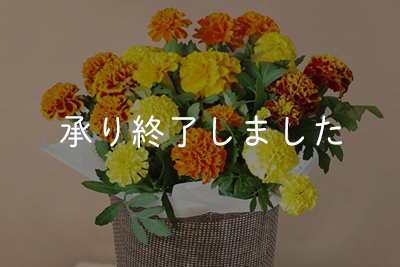 花鉢