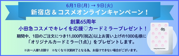 SUMMER COSME FES
