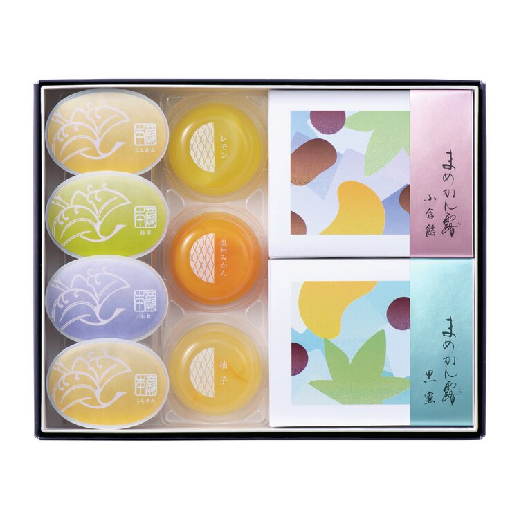 ＜京菓匠　鶴屋吉信＞京風冷菓（９個入）