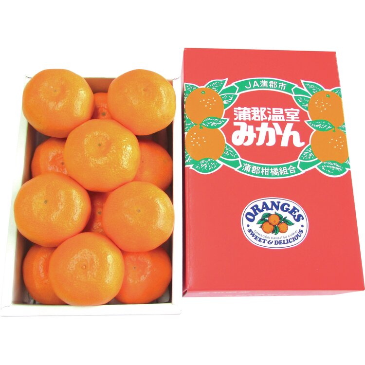 愛知県産　蒲郡温室みかん