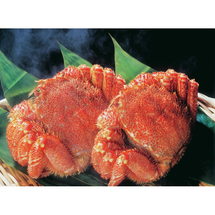 ＜藤井水産＞ボイル毛がに