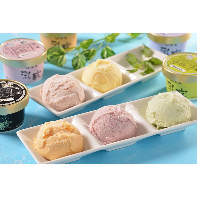 ＜小田急＞［乳蔵］北海道アイスクリーム10個 ［乳蔵］北海道アイスクリーム１０個