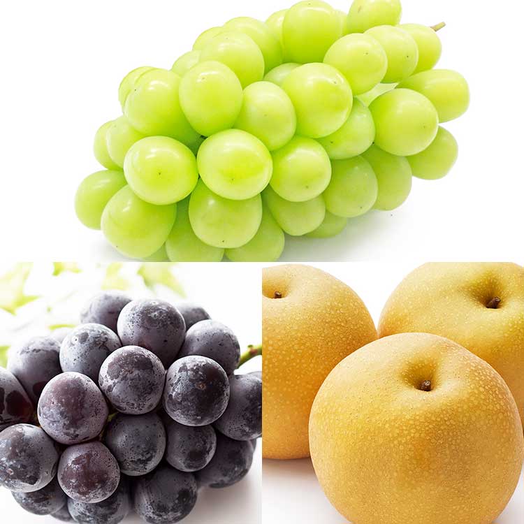 旬のフルーツおすすめぶどう2品種と糖度12度以上の梨セット 旬のフルーツおすすめぶどう２品種と糖度１２度以上の梨セット