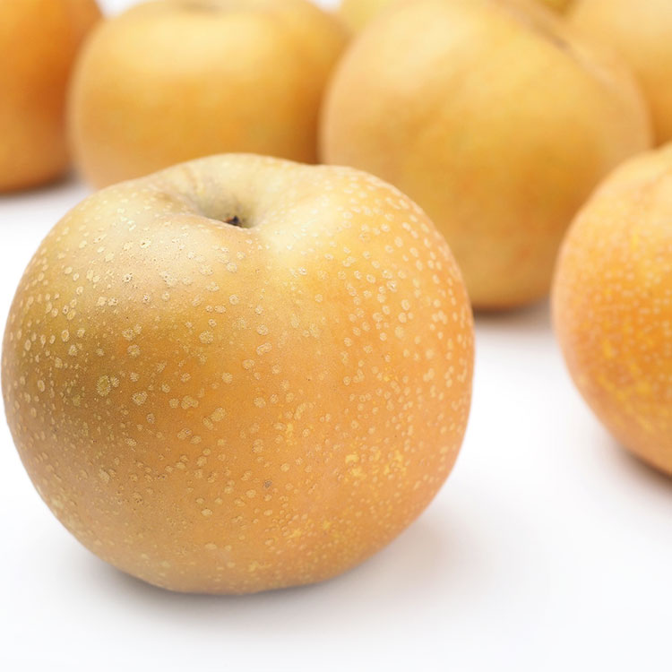 ＜小田急＞ サイズ・品種おまかせ！旬の梨 約2．4kg サイズ・品種おまかせ！旬の梨 約２．４ｋｇ