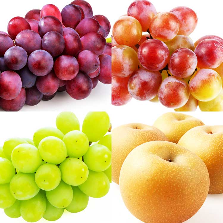 ＜小田急＞ 旬の梨と信州3色食べ比べ 旬の梨と信州３色食べ比べ画像