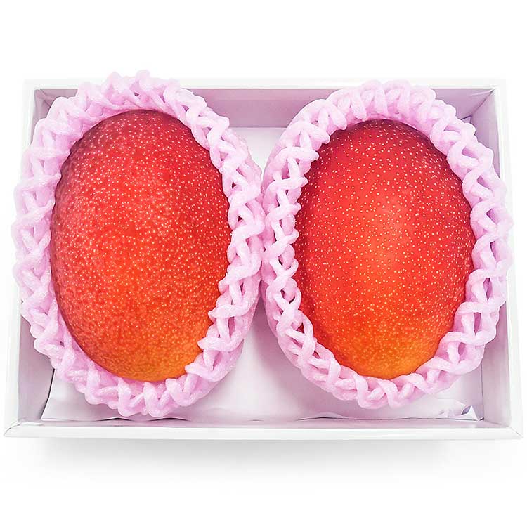 【お中元好適品】宮崎完熟マンゴー４Ｌ×２玉【６月下旬以降届】