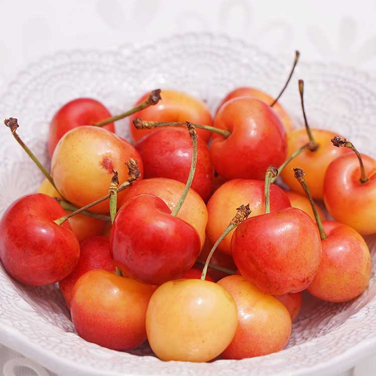 【受注販売】ワシントン産レーニア５００ｇ【６月下旬以降届】