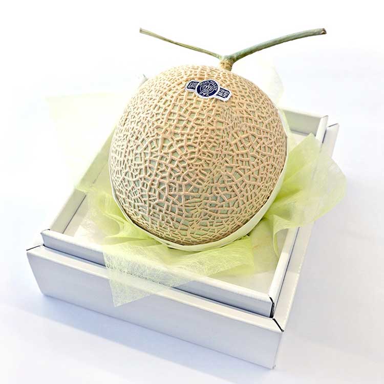 【生産者限定】至高の逸品　クラウンメロン【メロンの最高峰】