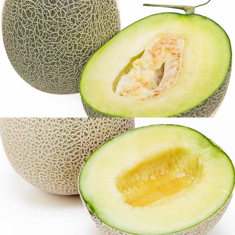 【食べ比べ】肥後グリーンメロン＆アールスメロン