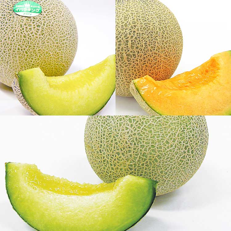 【食べ比べ】茨城メロン三昧【３玉セット】