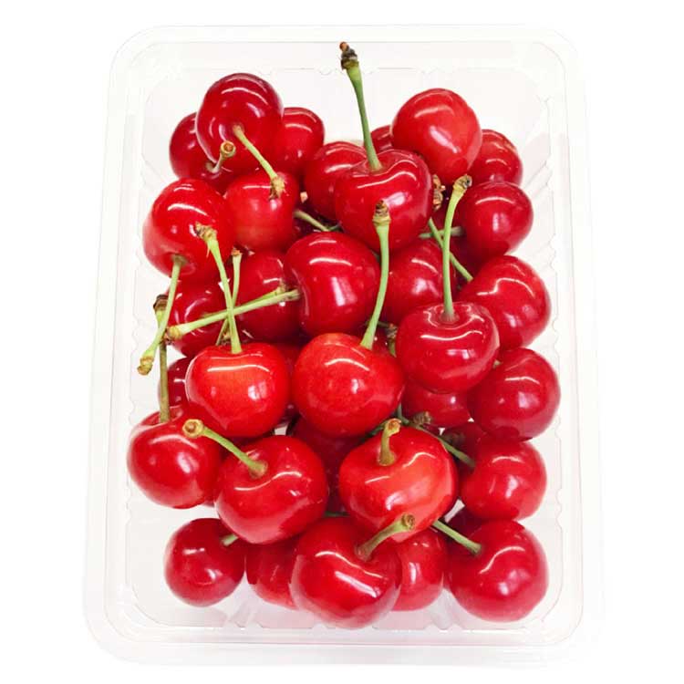 【受注販売】北海道増毛町の佐藤錦【Ｌ／５００ｇ×１パック】