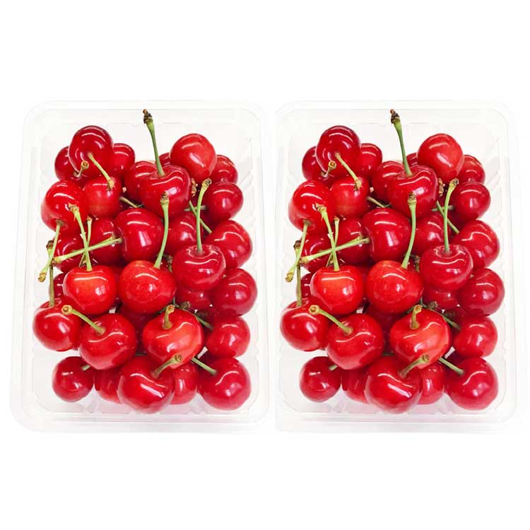 【受注販売】北海道増毛町の佐藤錦【Ｌ／５００ｇ×２パック】