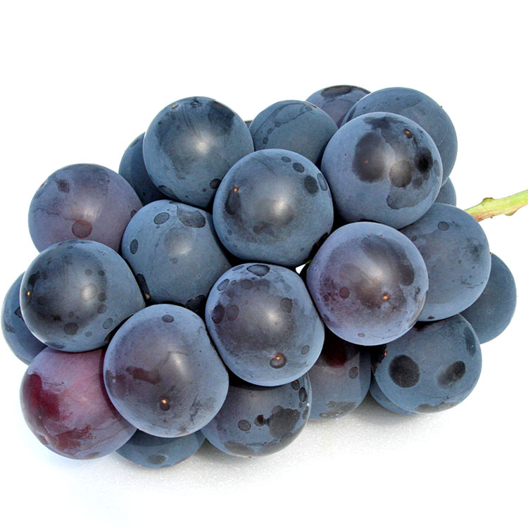 長野県産巨峰