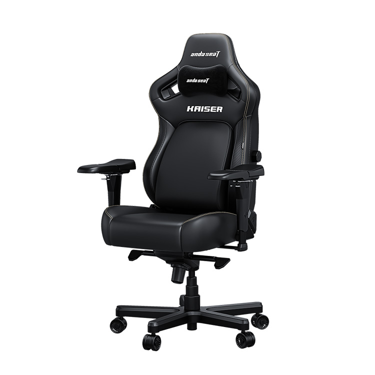 Ａｎｄａｓｅａｔ　Ｋａｉｓｅｒ４　エレガントブラック
