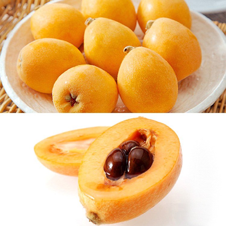 【数量限定】房州びわ＆唐川びわセット【５月下旬以降届】
