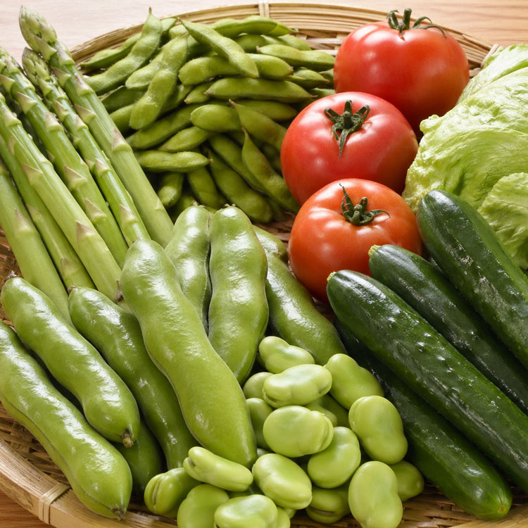 【月末限定】初夏野菜６種セット