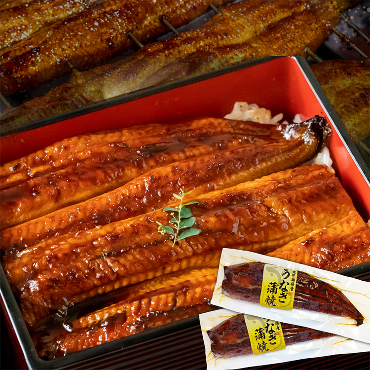［薩摩川内市観光物産協会］鹿児島県産特大うなぎ蒲焼×２尾