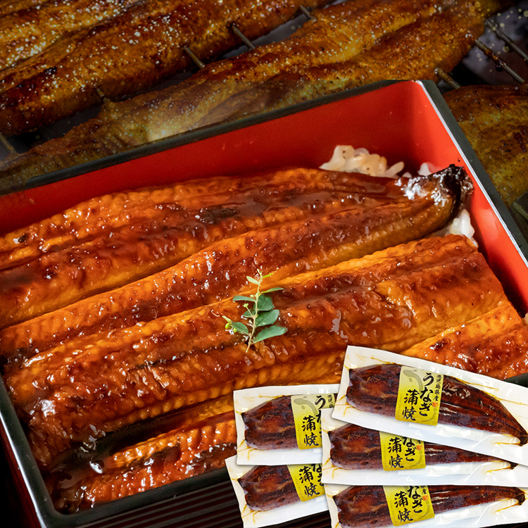 ［薩摩川内市観光物産協会］鹿児島県産特大うなぎ蒲焼×５尾