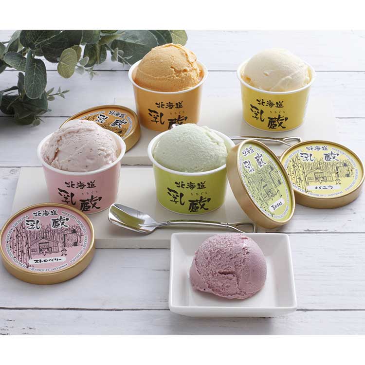 「乳蔵」北海道アイスクリーム５種１０個