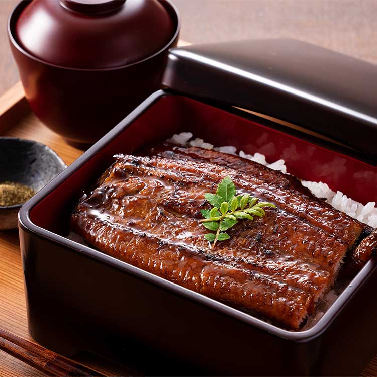 鹿児島「薩摩川内鰻」九州産うなぎ蒲焼ハーフ４枚