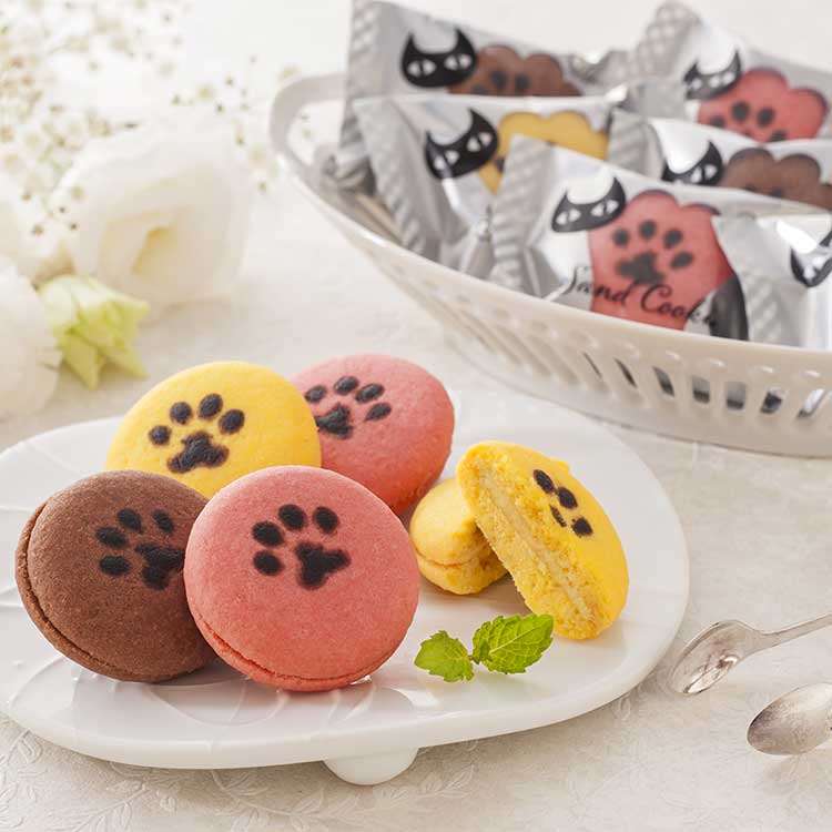 イーペルの猫祭り　サンドクッキー　ＹＪ－ＣＢ