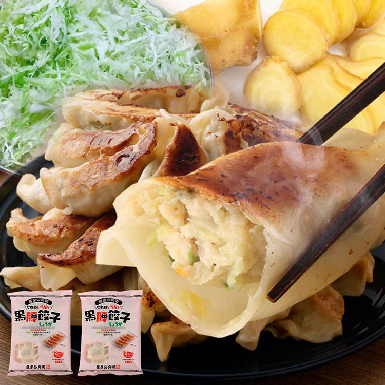 ［薩摩川内市観光物産協会］黒豚餃子しょうが１２個入り×２袋
