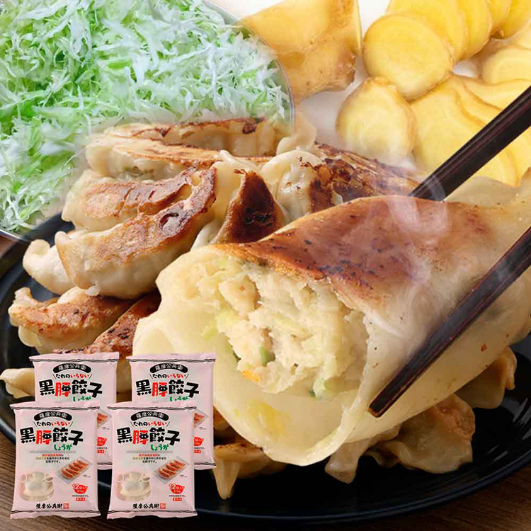 ［薩摩川内市観光物産協会］黒豚餃子しょうが１２個入り×４袋
