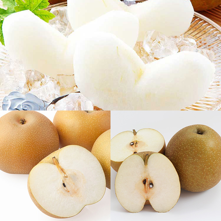 秋の甘み梨３種食べ比べ