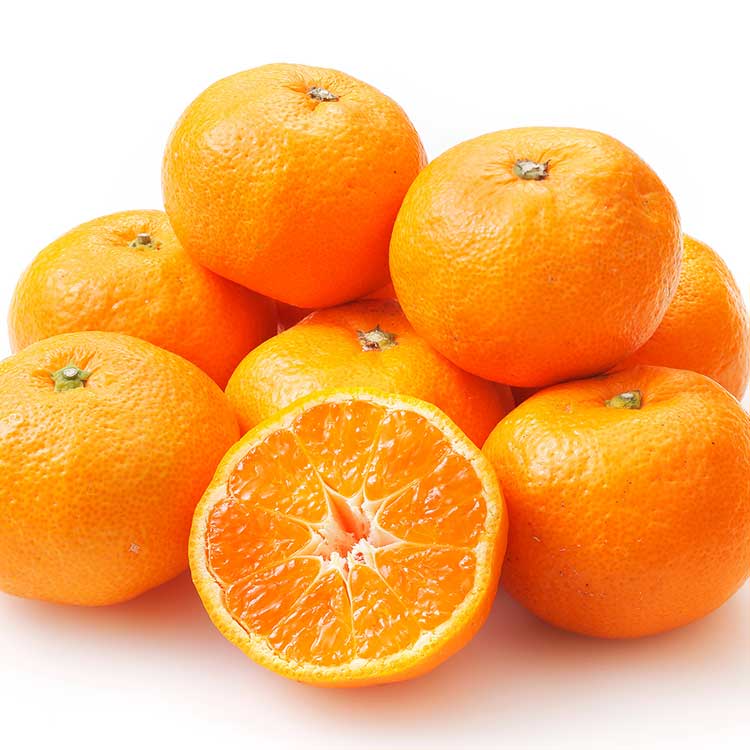 【ＷＥＢ限定】熊本県産夢未来みかん約４ｋｇ