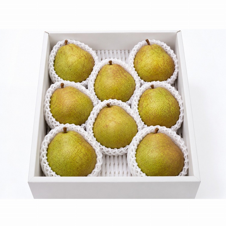 【ＷＥＢ限定】山形県産ラ・フランス約３ｋｇ
