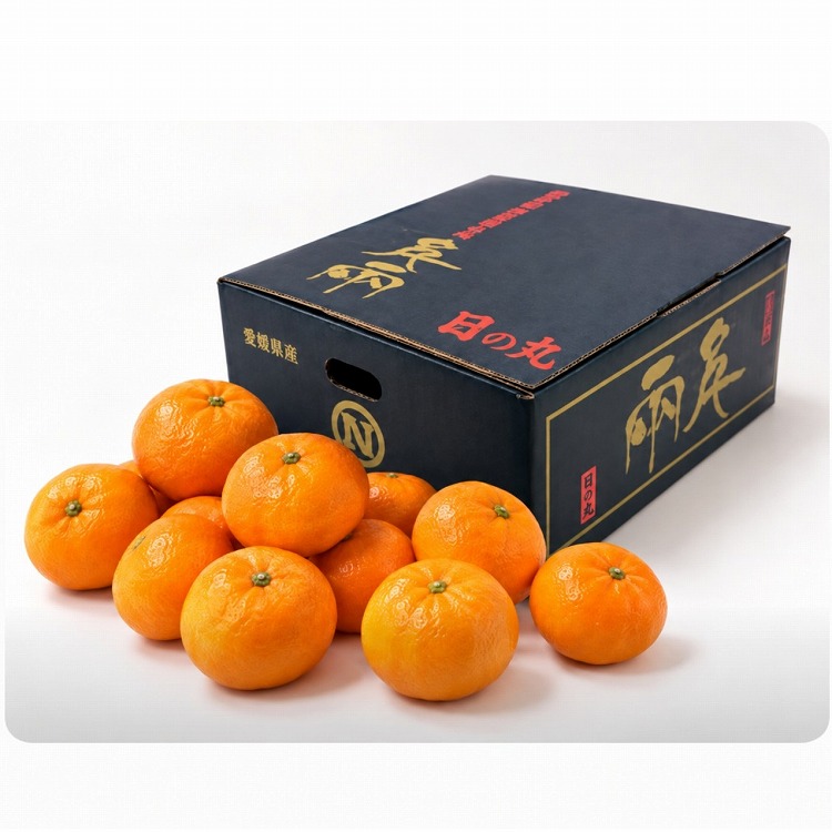 【ＷＥＢ限定】愛媛県産日の丸みかん約３ｋｇ