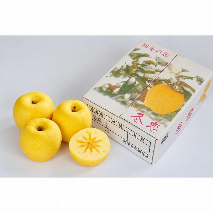【ＷＥＢ限定】岩手県産冬恋りんご約２．５ｋｇ