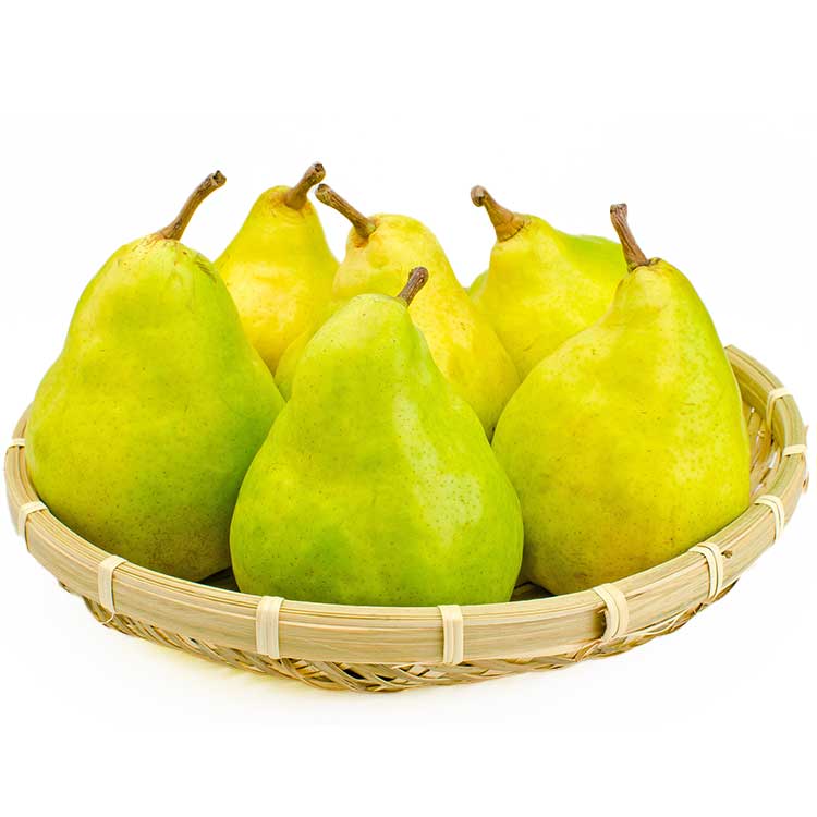 【ＷＥＢ限定】新潟県産ル・レクチェ約２ｋｇ