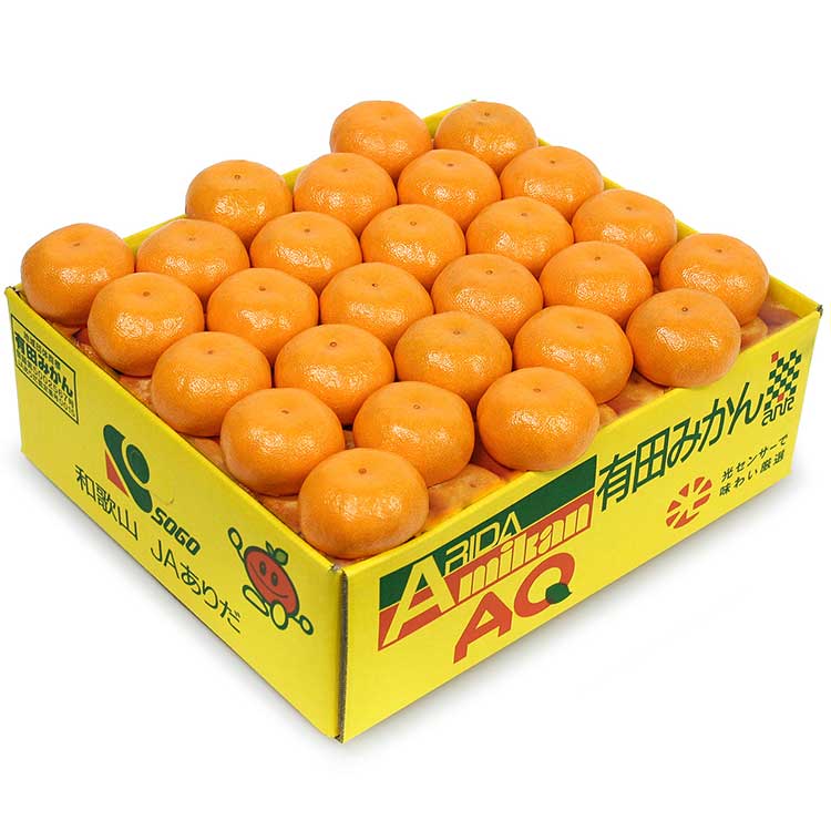 【ＷＥＢ限定】和歌山県産有田みかん約５ｋｇ