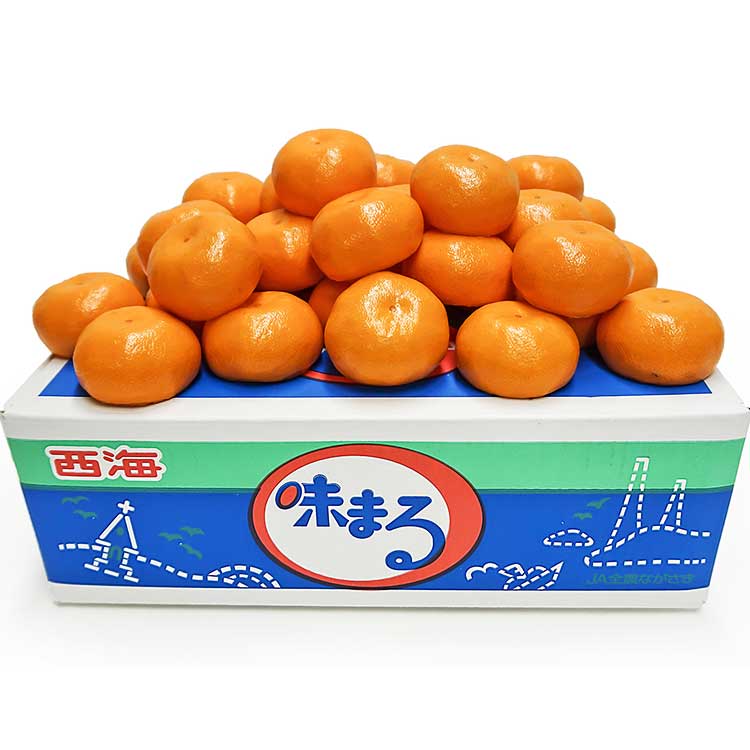 【ＷＥＢ限定】長崎県産味まるみかん約５ｋｇ