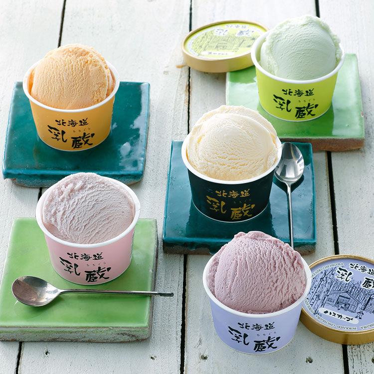 「乳蔵」北海道アイスクリーム５種１２個　１１０１３１