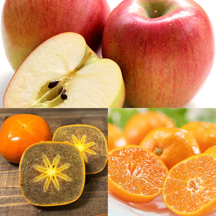 １１月の甘み３種食べ比べ