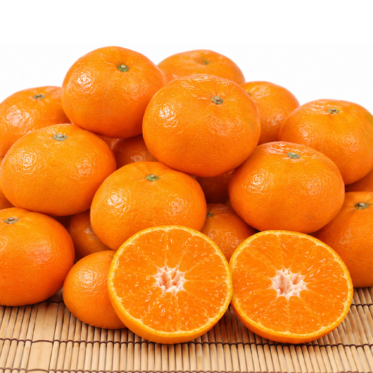 【糖度１２度以上】日の丸ゴールドみかん約３ｋｇ【１１月下旬】