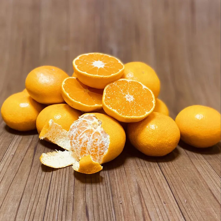 【糖度１４度以上】出島の華みかん約３ｋｇ【１２月上旬届】
