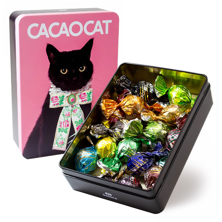 ［ＣＡＣＡＯＣＡＴ］缶ミックス１４個入りＲＩＢＢＯＮ