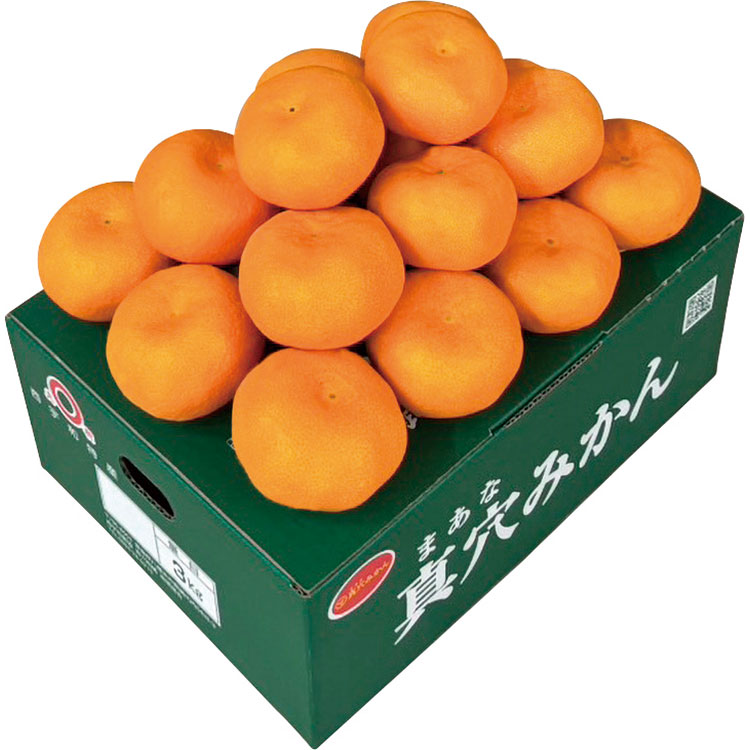 愛媛県産真穴みかん