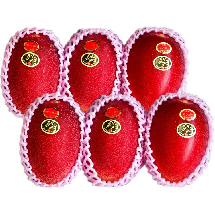 【お中元好適品】太陽のタマゴＡ２Ｌ×６玉【６月下旬以降届】