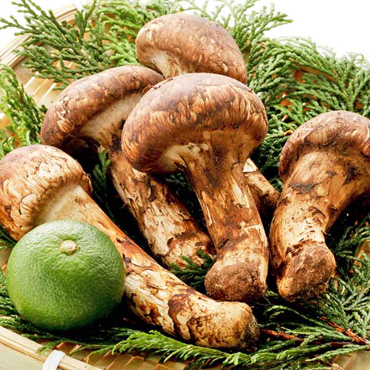 国産松茸　開き（約５００ｇ）