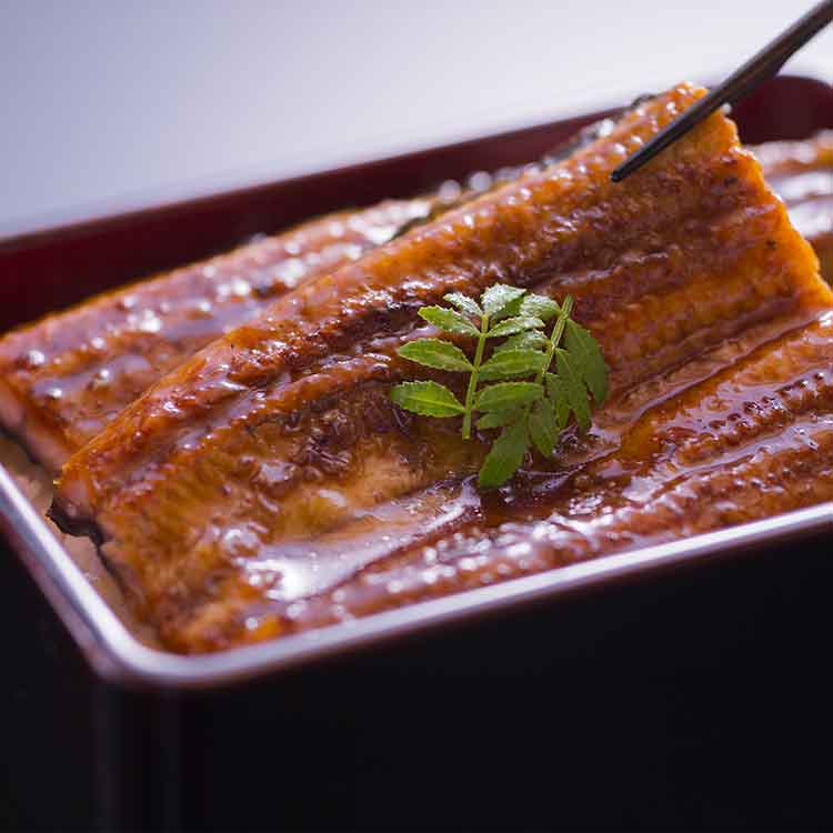 宮崎「鰻楽」　九州産うなぎ蒲焼３尾（計４８０ｇ）