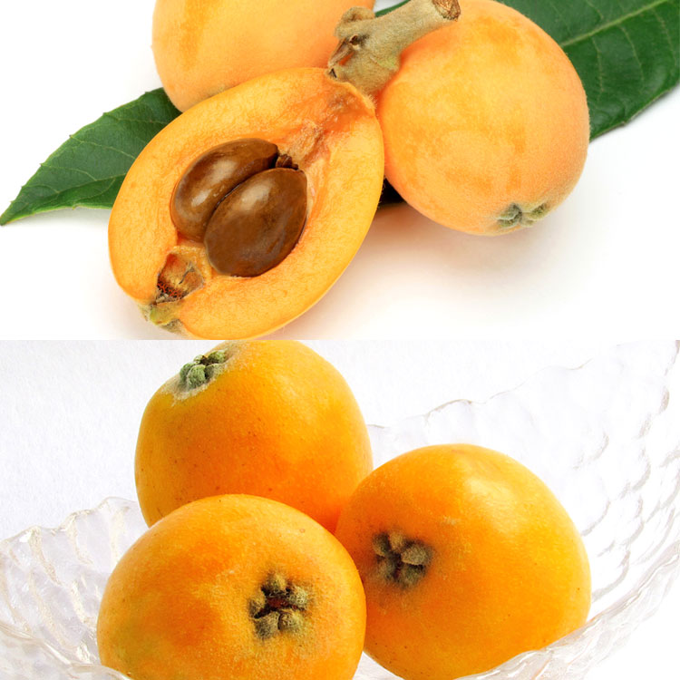 【香り華やぐ長崎びわ２種セット】長崎びわと甘香びわ